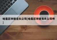 啥是区块链龙头公司[啥是区块链龙头公司啊]